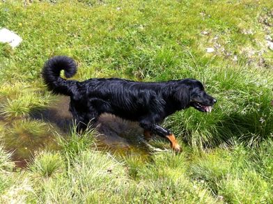 Ganni endlich im Wasser